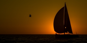 2009-03-Solo-Massif-Marine-1475-2