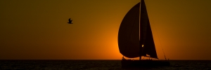 2009-03-Solo-Massif-Marine-1475-3