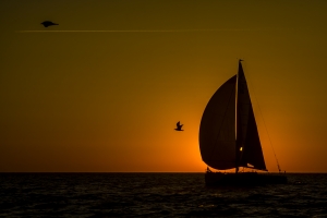2009-03-Solo-Massif-Marine-1475
