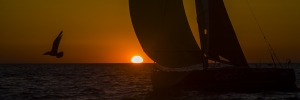 2009-03-Solo-Massif-Marine-1516