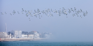 2012-03-Solo-Massif-Marine-8955