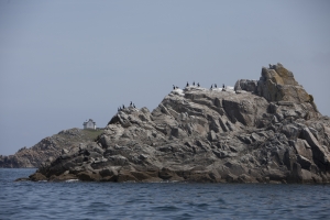2012-05-Trophee-MAP-5263