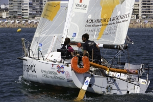 2014-SAS-0614