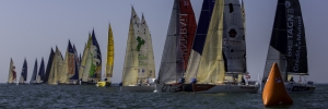 2014-03-Solo-Maitre-Coq--9169