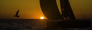 2009-03-Solo-Massif-Marine-1516