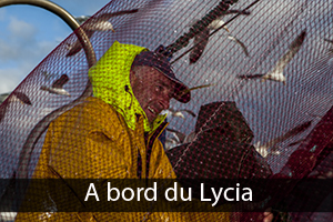 Sortie en Mer sur Bolincheur Lycia