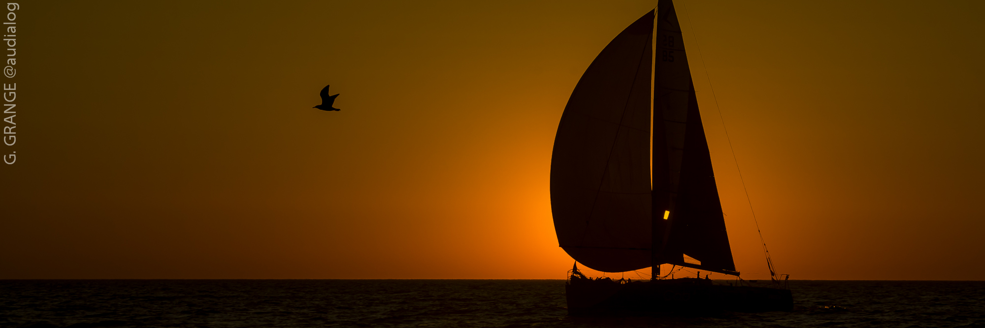 Voiliers Figaro Beneteau 2 Sous Spi avec couché de Soleil en course au large