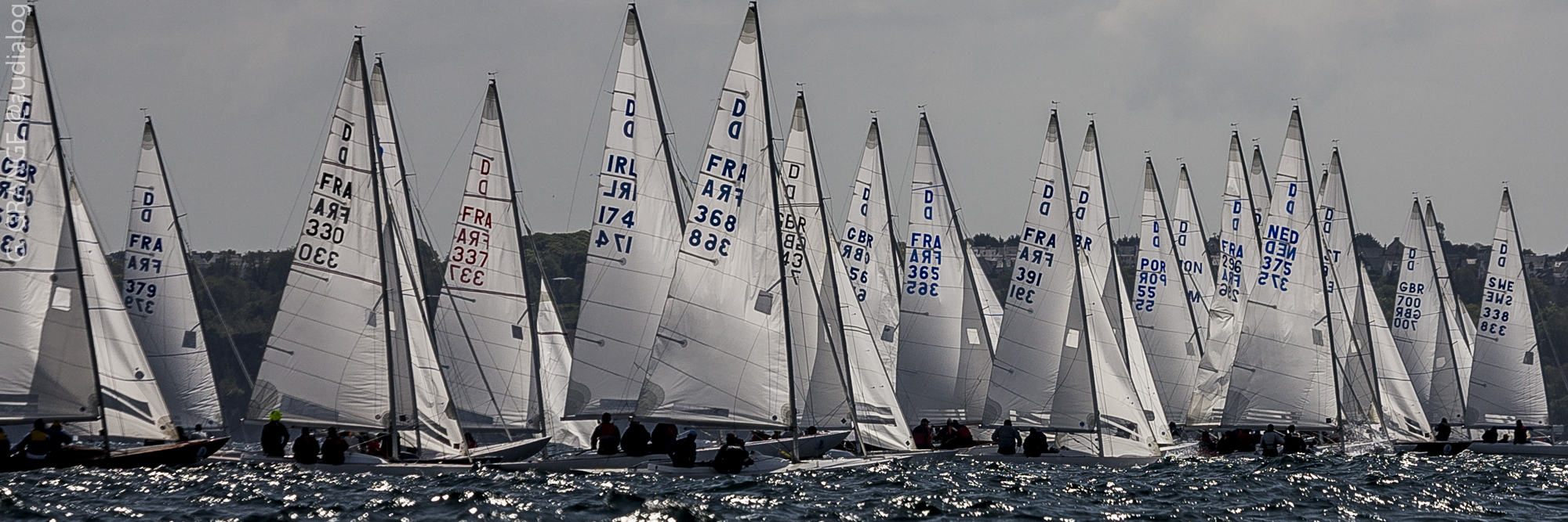 Multitude de voiles Blanches pour un départ de régate en voilier Dragon